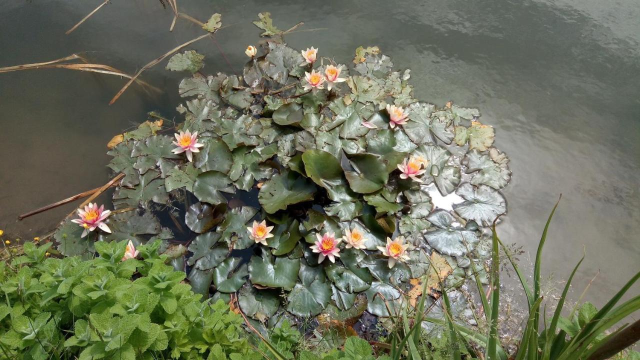Chambre Coin Nature Fromelles 외부 사진