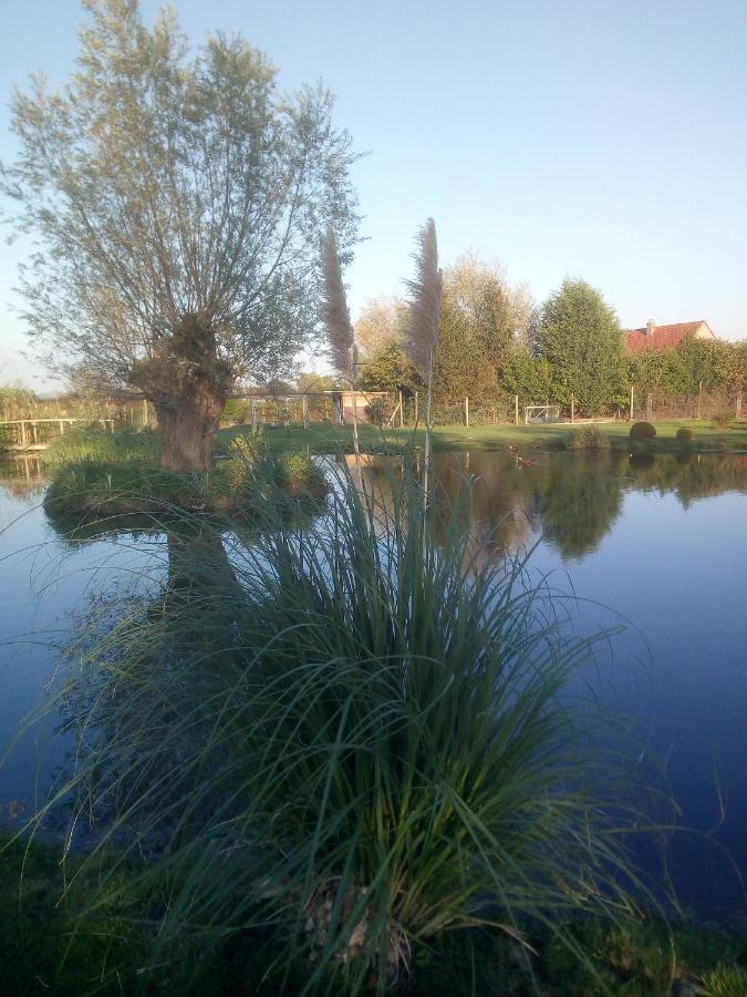 Chambre Coin Nature Fromelles 외부 사진